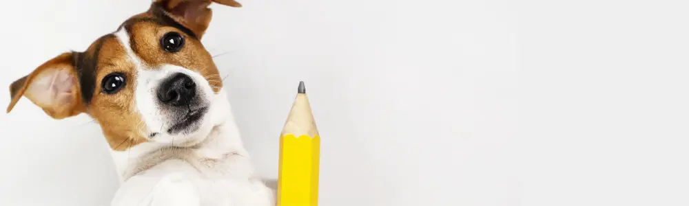 KINDERGARTEN ALPHABET GAMES