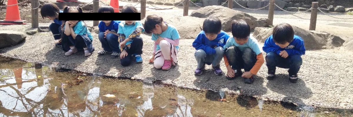 Students looking for fish in Japan.