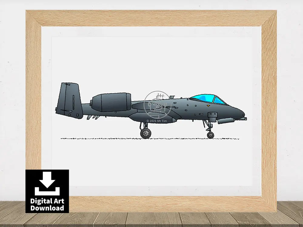 A-10 Thunderbolt II, Warthog Fighter Jet E079