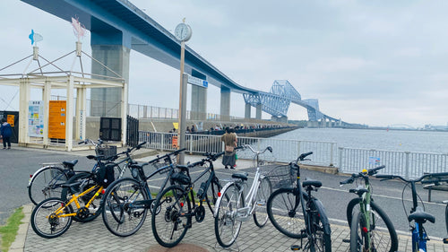 Tama River Loop - A Scenic and Relaxed 55km Tokyo Ride for Road Cyclists