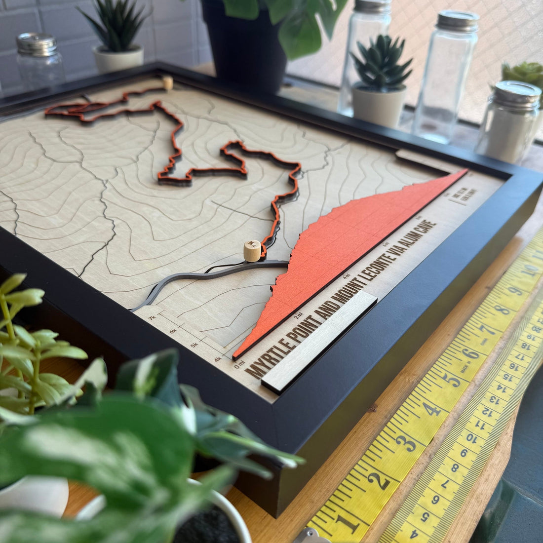 Piedmont Beaver Marsh Loop | Custom Wooden Hiking Map