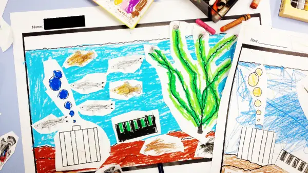 Fishes, water purifier craft