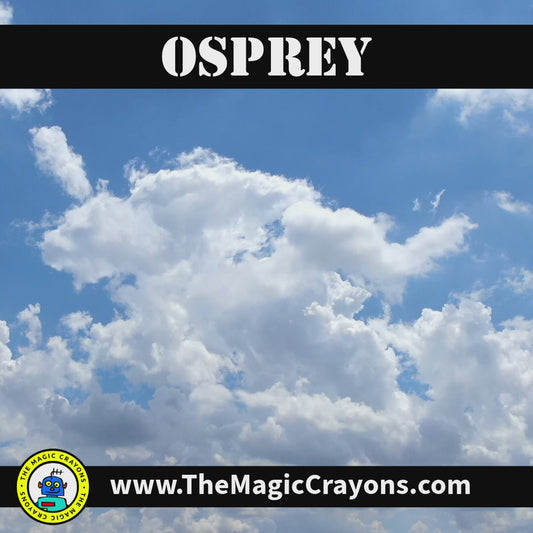 Osprey Tilt-Rotor Aircraft E107