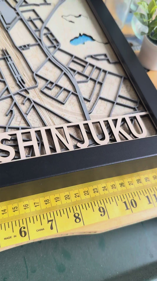 Shinjuku Station Wood Map