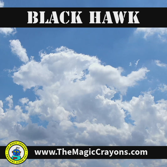 Black Hawk Helicopter E110
